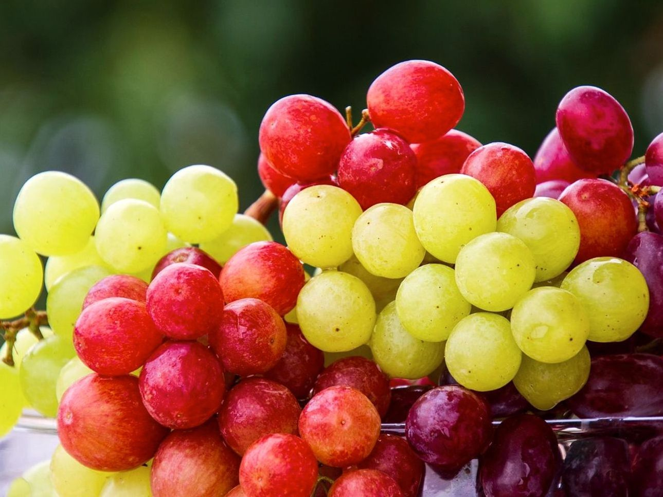 Local fruit favourite